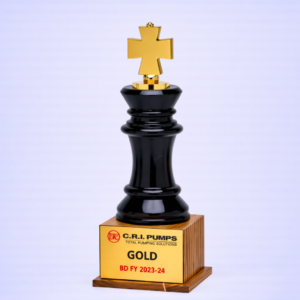 Black Chess King Award
