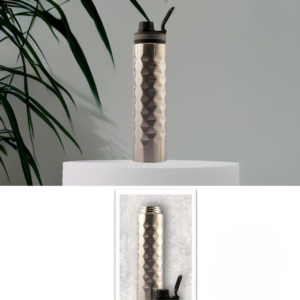 GE Neptune SS Bottle