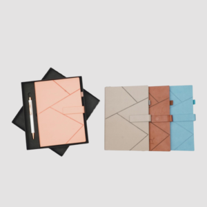 Secure Magnet 2-in-1 Pair