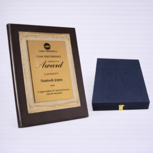 Gold Frame Excellence Award