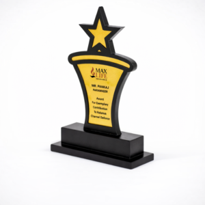 Star Silhouette Achievement Award